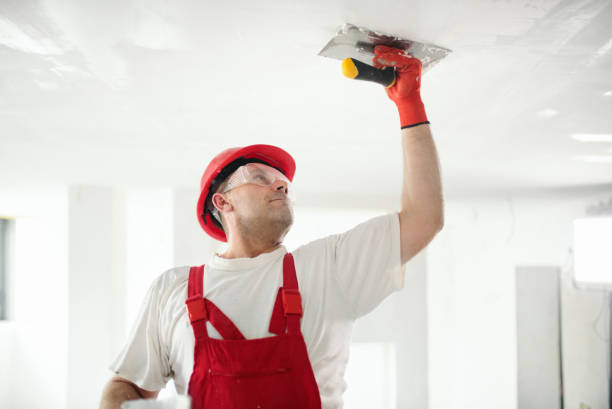 Best Repainting for Renovations  in Trevorton, PA