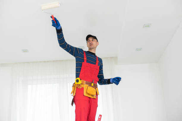 Best Water-Damaged Drywall Repair  in Trevorton, PA